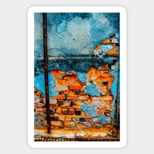 Orange blue brick wall with lion profile Sticker